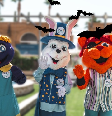 Magic World Resort